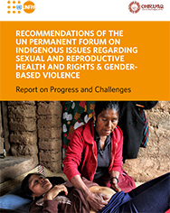 Recommendations of the UN Permanent Forum on Indigenous Issues Regarding Sexual and Reproductive Health and Rights & Gender-based Violence