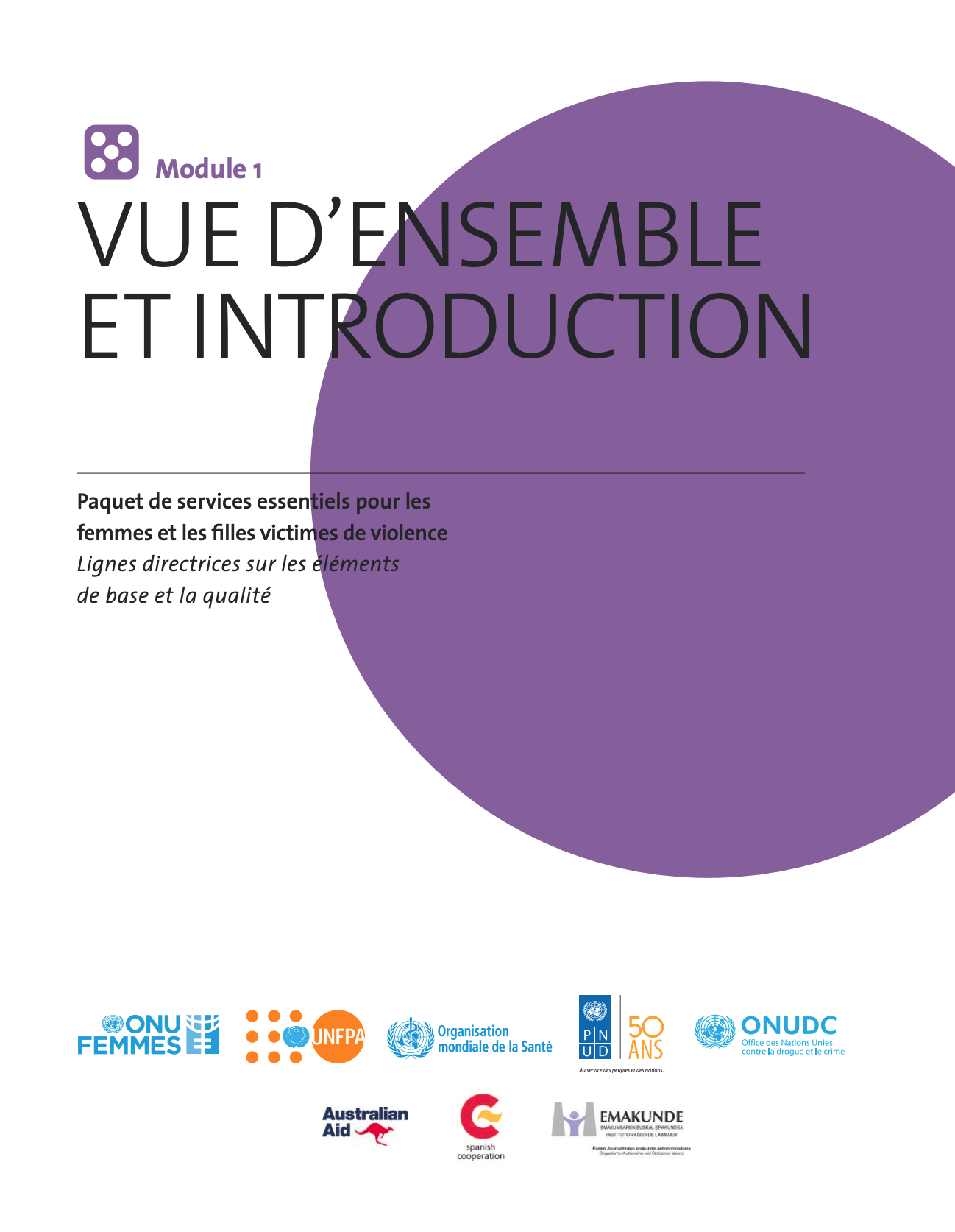 Paquet de services essentiels pour les femmes et les filles victimes de violence