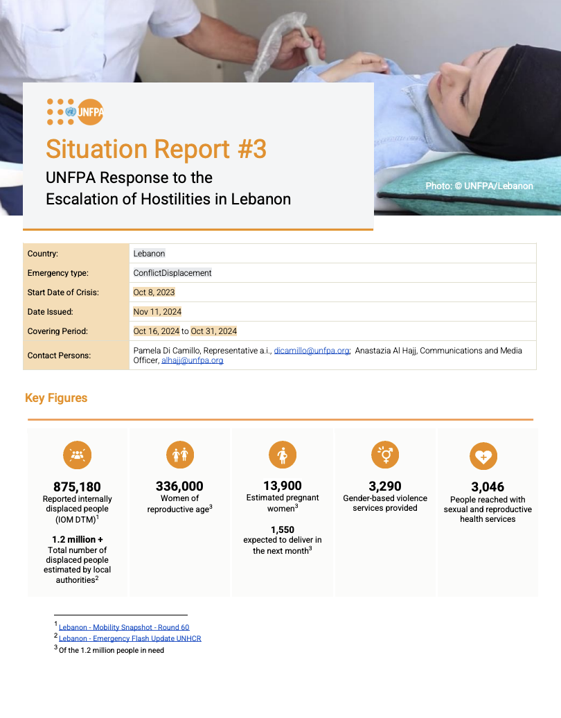 Lebanon Situation Report #3 - November 2024