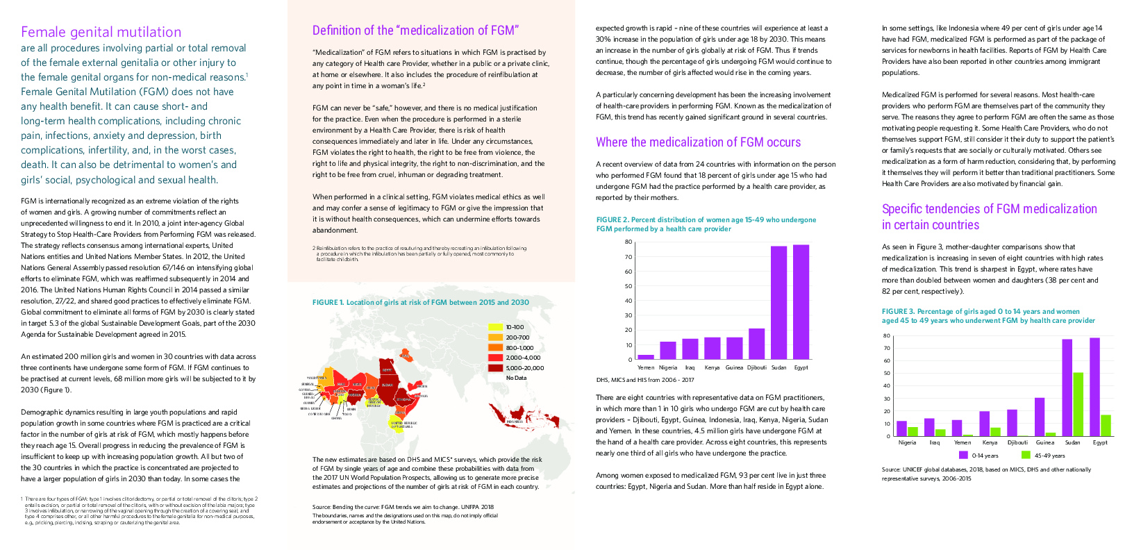 Brief on the medicalization of female genital mutilation 