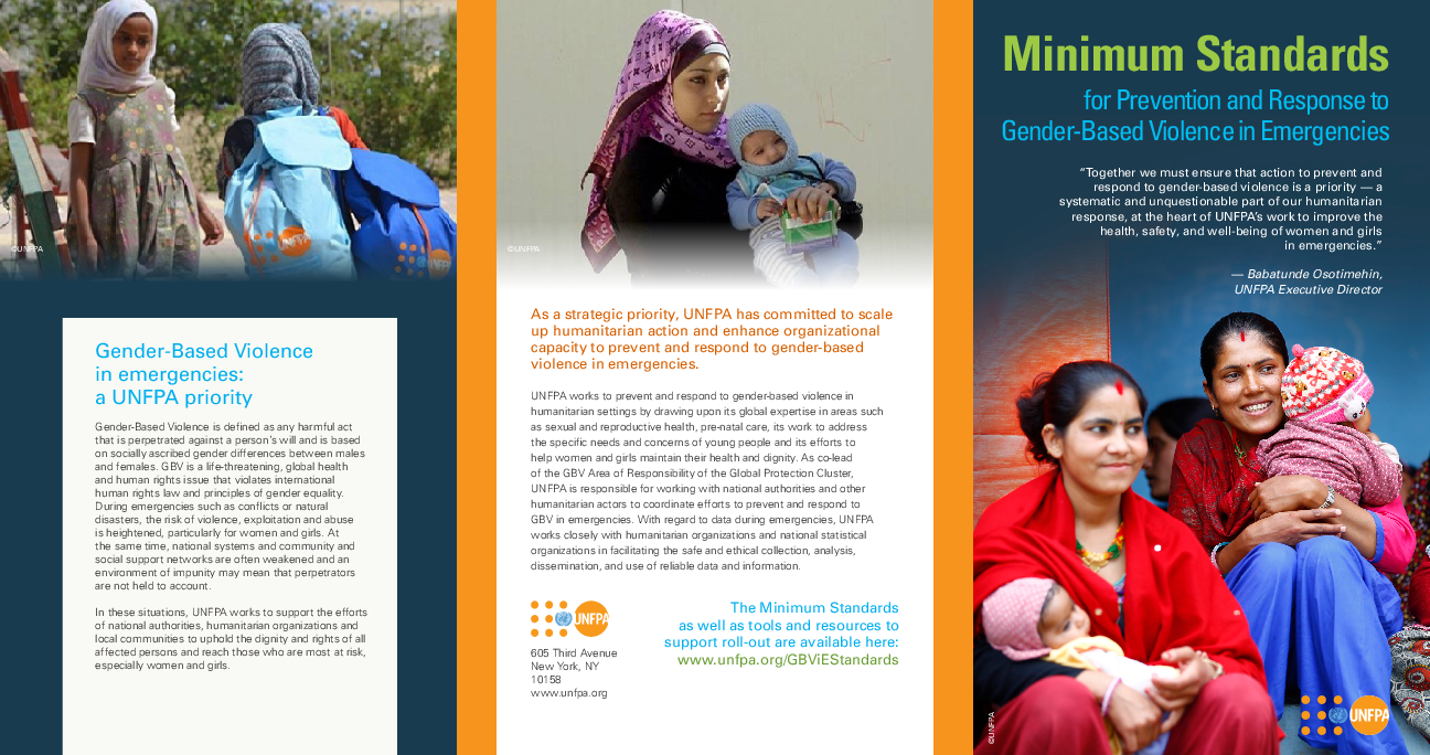 GBViE Minimum Standards Brochure 