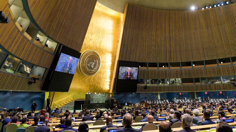 Many people sitting in the General Assembly hall. 