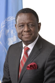 DR. BABATUNDE OSOTIMEHIN