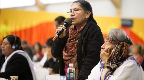 Tarcila Rivera and members of Enlace Continental de Mujeres Indígenas de las Américas are pictured in a conference setting. 