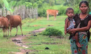 Midwives, emergency care key to reducing Cambodia’s maternal…