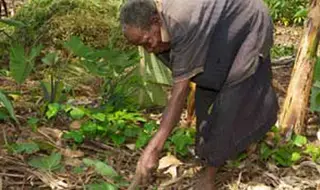 Older Tanzanian Women Face Allegations of Witchcraft