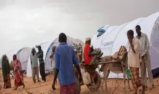 Dadaab Population Swells as Hungry and Weary Families Arrive…