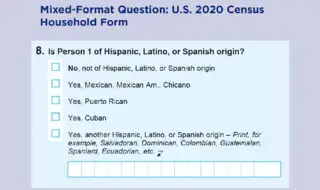 Coding Write-In Responses in a Census